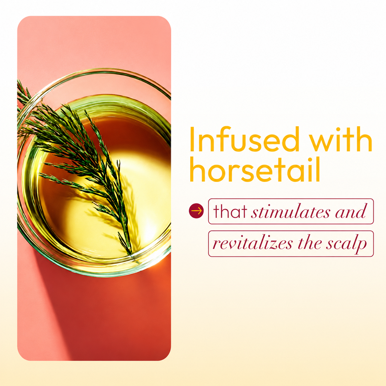 ORS HAIRestore Fertilizing Temple Balm Horsetail ingredient