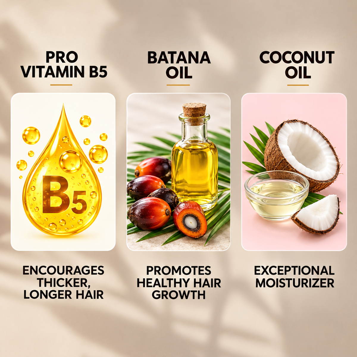 AllDay Locks Batana Hair Growth Oil 1oz