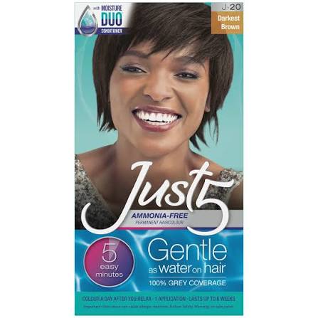Just 5 Ammonia Free 100% Gray Coverage Hair Dye
